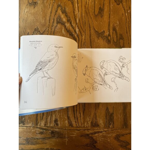 The Sibley Birds Coloring Field Journal By Cecilia Lehar Hardcover NEW - Picture 6 of 7